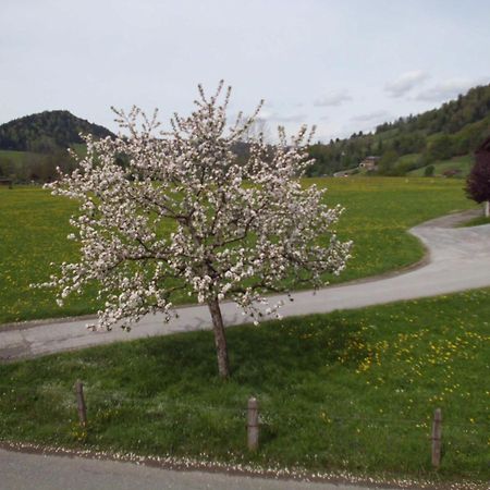 Ferienwohnung Annele Hittisau Kültér fotó